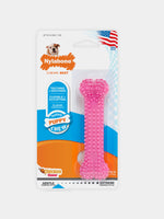 Juguete-con-sabor-de-pollo-para-cachorros-Chew-Pink-Dental-Petite-Nylabone