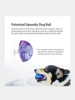 Pelota-morado/azul-para-perro-Squeaker-Small-GiGwi