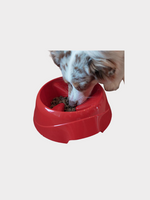 Plato-Interactivo-Para-Perros-Grandes-Bowl-Magnus-Slow-Large-Ferplast