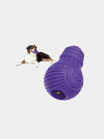 Dispensador-de-premios-para-perros-Large-Bulb-Rubber-GiGwi